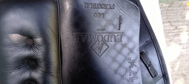 Ludomar "Lud" - Selle de Dressage