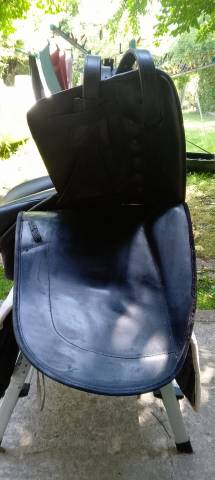 Ludomar "Lud" - Selle de Dressage