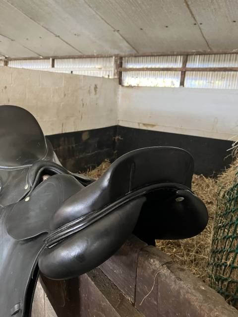 Selle d’obstacle CWD SE02