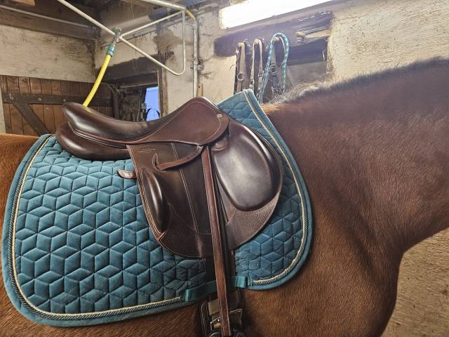 Selle Devoucoux Chiberta K 16.5 Havane