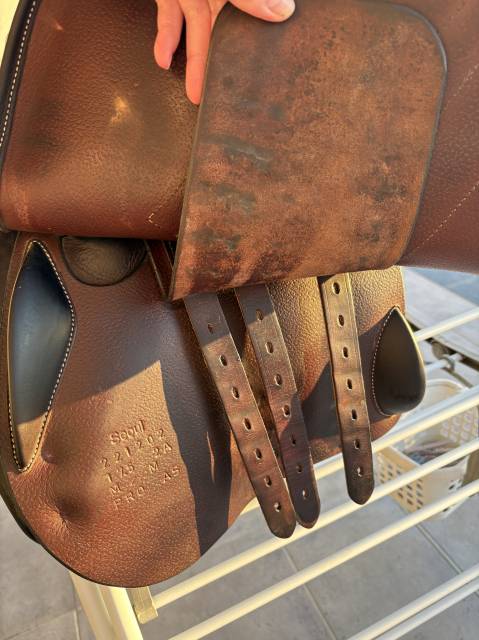 Selle Séoul Forestier 17,5 Châtaigne 