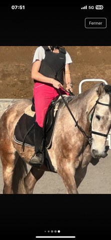 Pantalon equith&egrave;me rose Fuschia XS