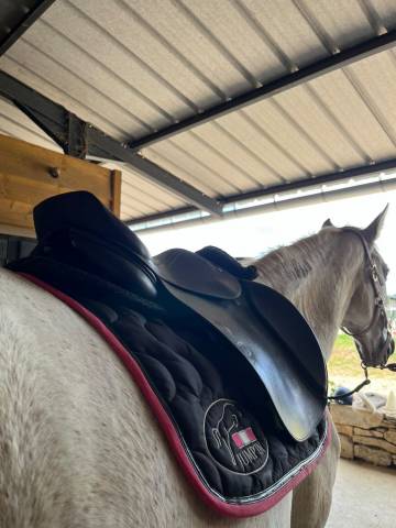 Selle mixte privilège équitation 17 pouces