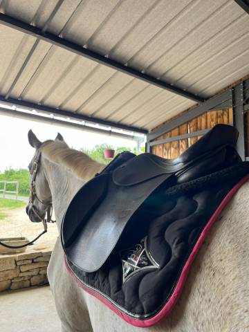Selle mixte privilège équitation 17 pouces