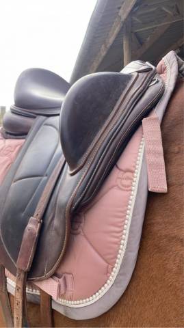 Selle dressage Arion