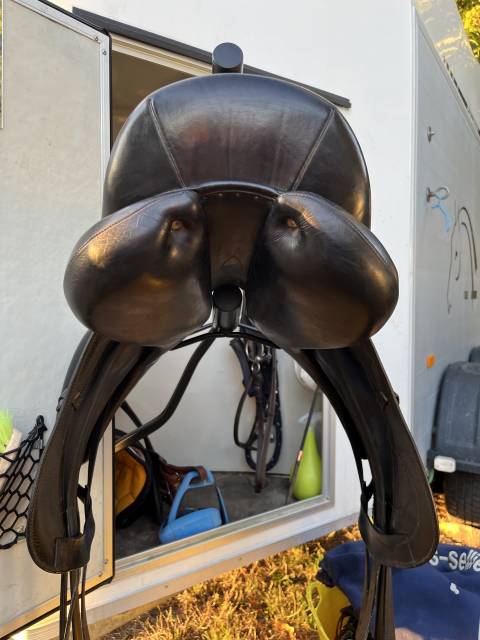 Antares dressage cadence 