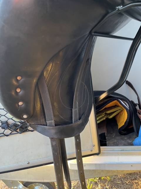 Antares dressage cadence 