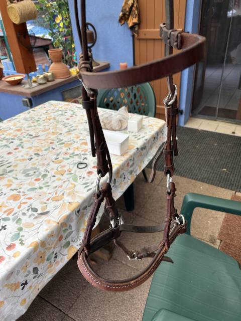 Side pool taille COB