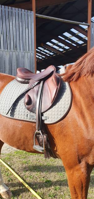 Selle CSO/cross monoquartier Eric Thomas