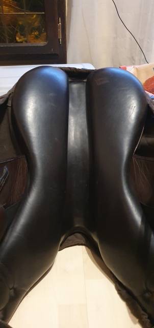 Selle cross lion  monoquartier Eric Thomas