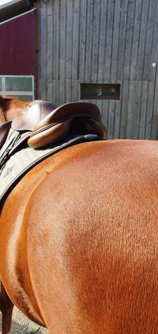 Selle cross Chiberta Devoucoux