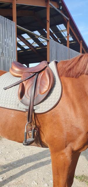 Selle cross Chiberta Devoucoux