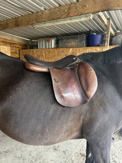 Selle Eric Thomas 17,5 pouces 