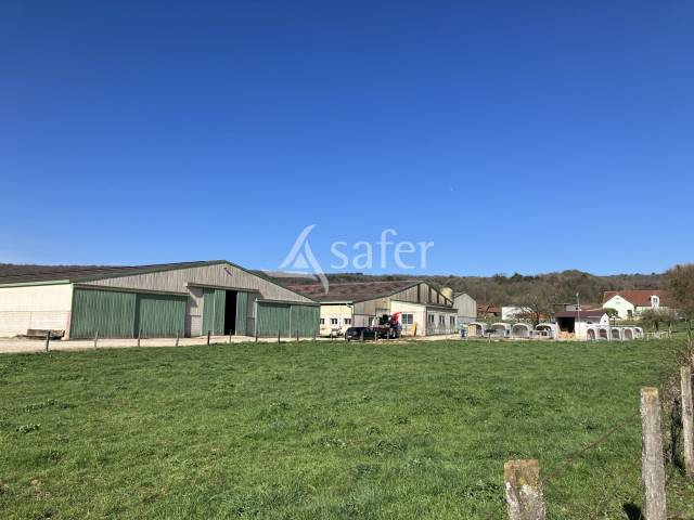 Exploitation laitière 170 ha