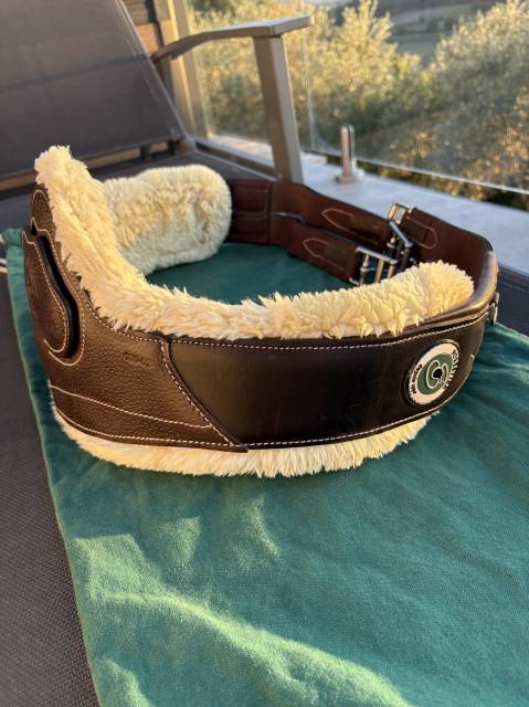 Sangle anatomique mouton Forestier 130 cm