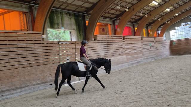 Soigneuse - cavali&egrave;re - gardiennage