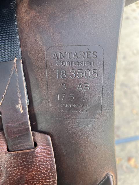 Selle Antarès Connexion - 17,5 pouces 