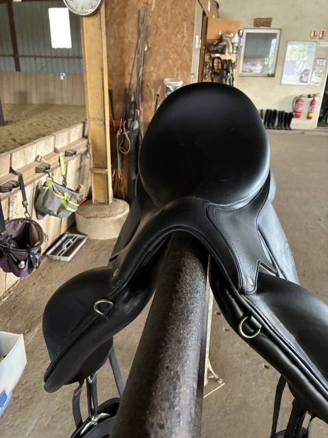 Selle forestier Aachen