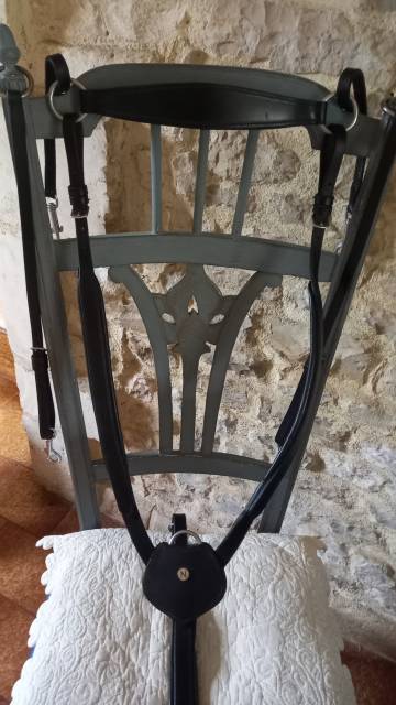 Collier de chasse Norton