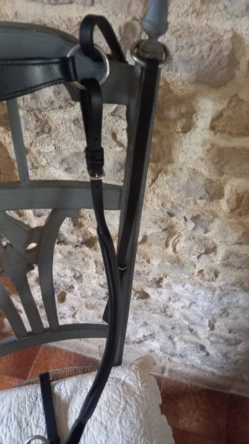 Collier de chasse Norton