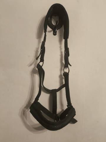 Licol Équitheme 
