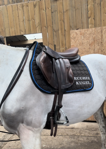 Selle Forestier - modèle Boekelo