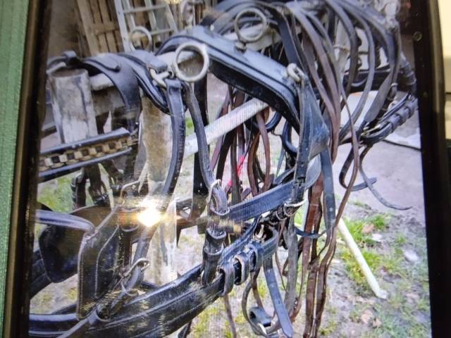 Harnais marathon en paire taille poney 