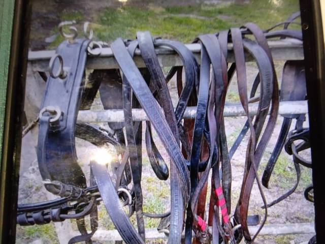 Harnais marathon en paire taille poney 