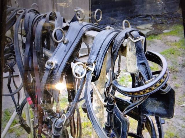 Harnais marathon en paire taille poney 