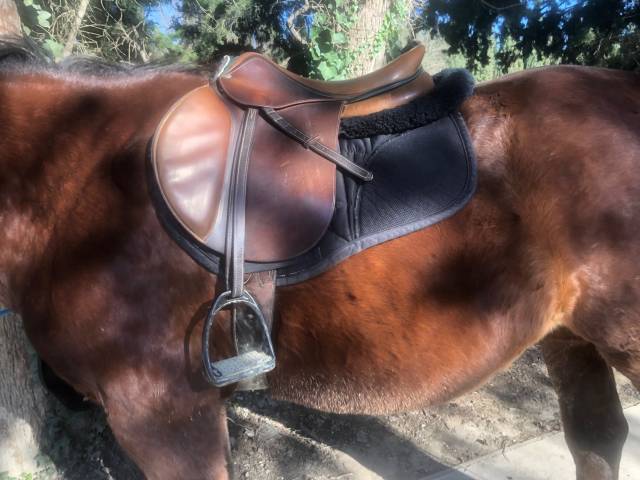 Selle Devoucoux &eacute;quip&eacute;e