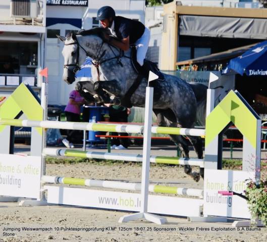 Belle grande jument 7 ans 