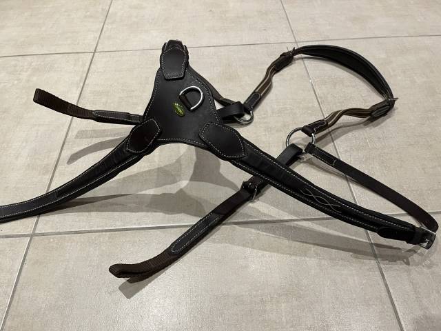 Collier de chasse Protanner – Marron