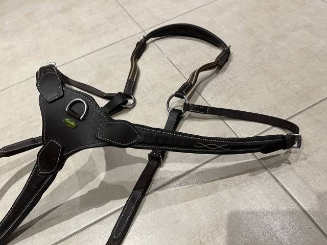 Collier de chasse Protanner – Marron