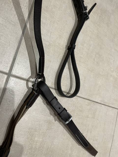 Collier de chasse Protanner – Marron