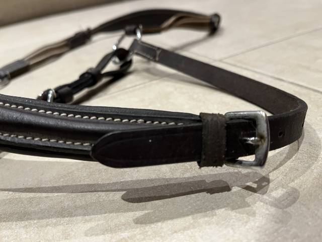 Collier de chasse Protanner – Marron