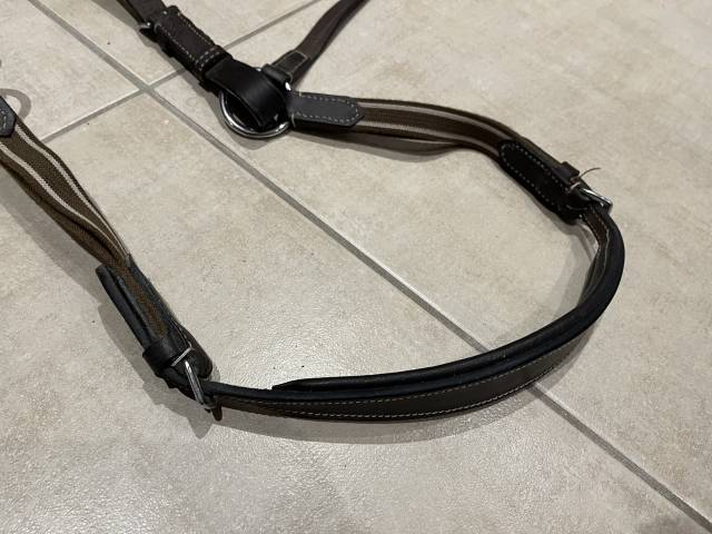 Collier de chasse Protanner – Marron