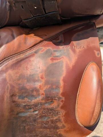 Modèle Sattel Prestige Sidney