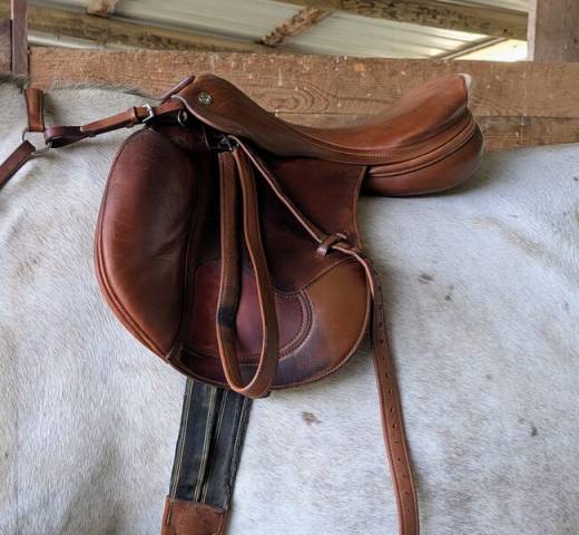 Modèle Sattel Prestige Sidney