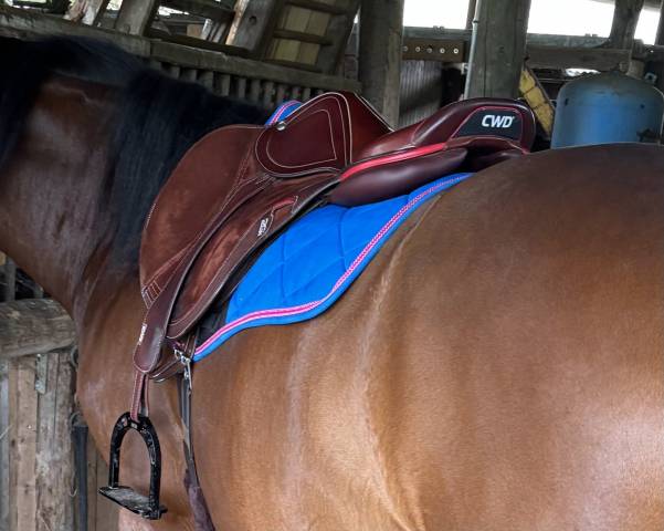 Selle CWD 2gs mademoiselle vends ou &eacute;change 