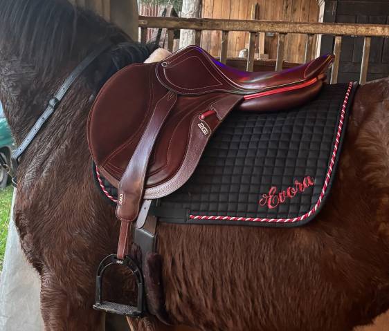 Selle CWD 2gs mademoiselle vends ou &eacute;change 