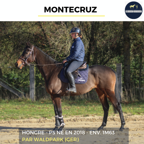 MONTECRUZ - PS - 7 ANS