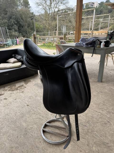 Selle de dressage Childeric