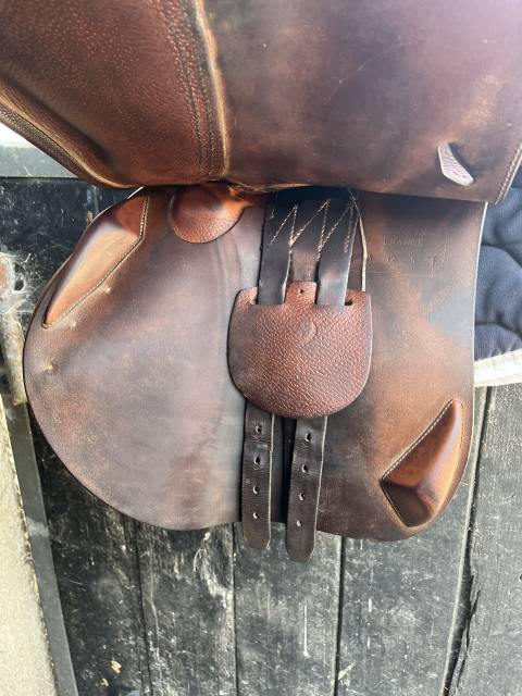 Selle Antarès - 17,5 pouces