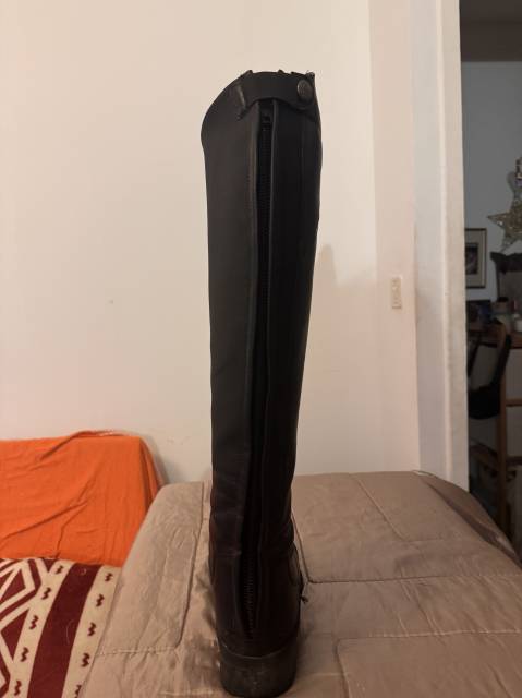 Bottes Mountain Horse