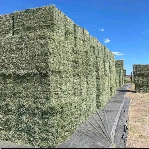 Foin et Paille de bonne qualité 