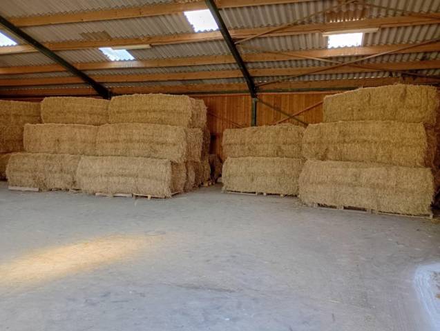 Foin et Paille de bonne qualité 