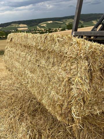 Foin et Paille de bonne qualité 