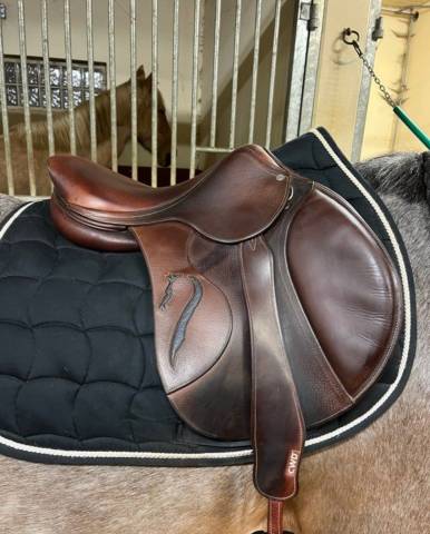 Selle Antares modèle contact 16,5’ havane