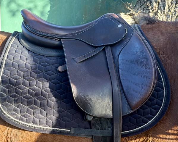 Selle d’équitation Colbert brother