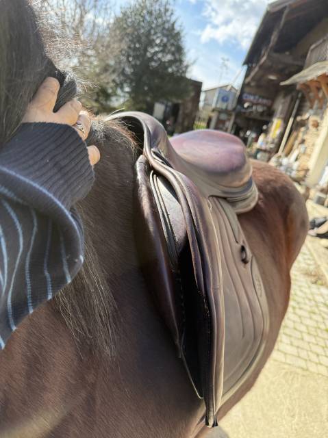 Selle CWD Se01